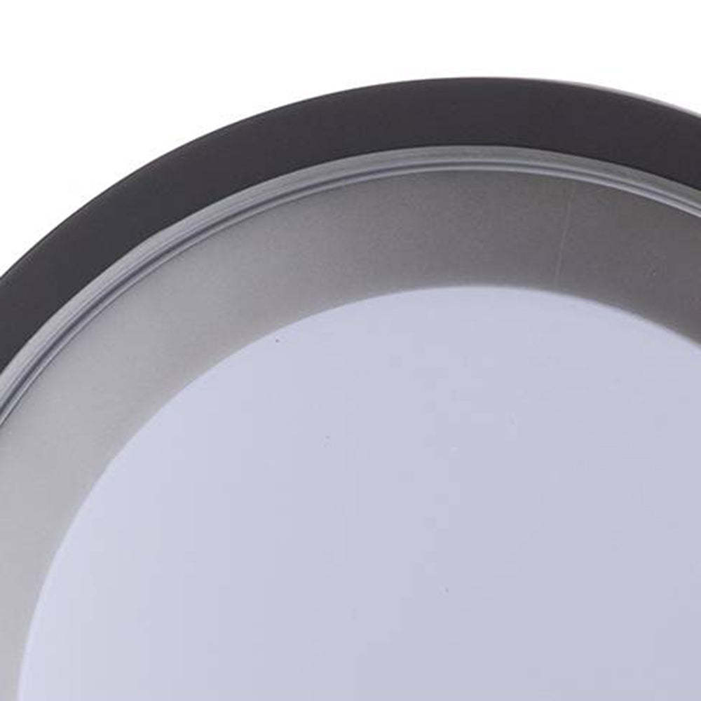 Outdoor Wall Lamp/ Flush Mount Ceiling Light