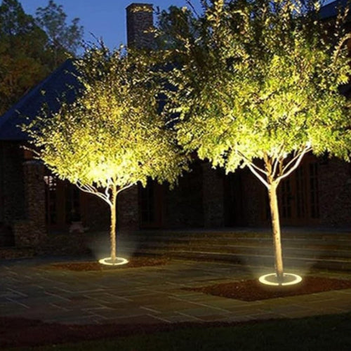 Outdoor Spotlight for tree